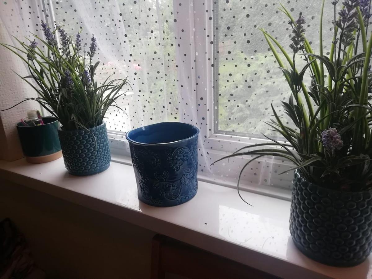 Single Bedroom In A Cozy Maisonette - Буши Екстериор снимка